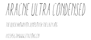 Aracne Ultra Condensed.ttf