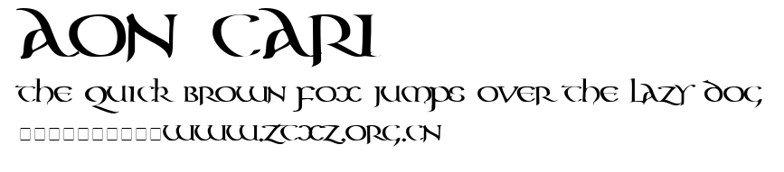 Aon Cari.ttf