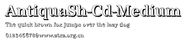 AntiquaSh-Cd-Medium.ttf