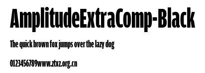 AmplitudeExtraComp-Black.ttf