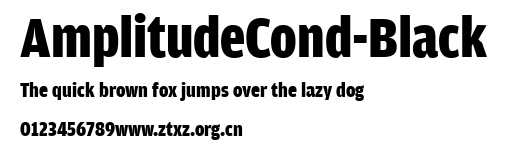AmplitudeCond-Black.ttf