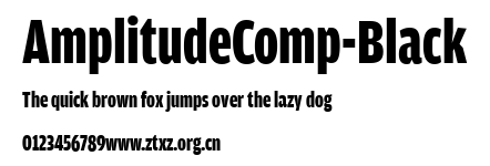 AmplitudeComp-Black.ttf