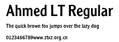 Ahmed LT Regular.ttf