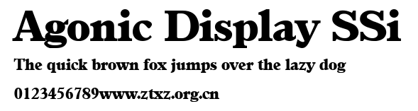 Agonic Display SSi.ttf
