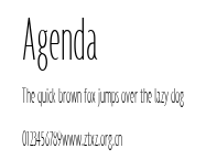 Agenda.ttf