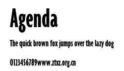 Agenda.ttf