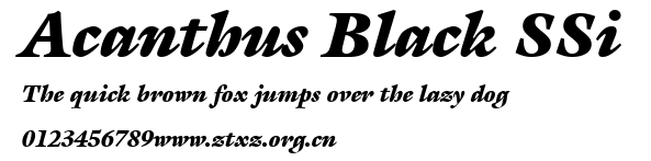 Acanthus Black SSi.ttf