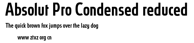 Absolut Pro Condensed reduced.otf