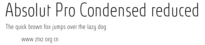Absolut Pro Condensed reduced.otf