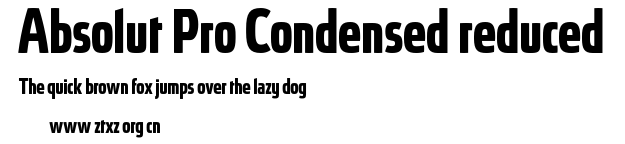 Absolut Pro Condensed reduced.otf