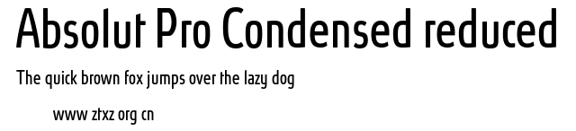 Absolut Pro Condensed reduced.otf