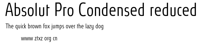 Absolut Pro Condensed reduced.otf