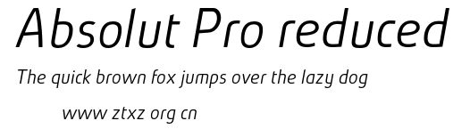 Absolut Pro reduced.otf