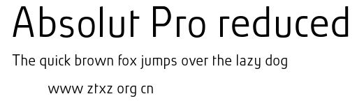 Absolut Pro reduced.otf