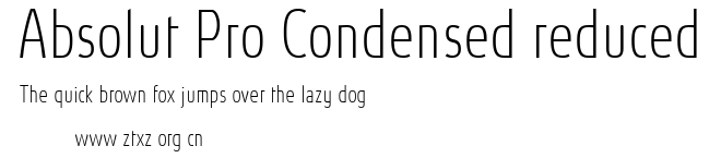 Absolut Pro Condensed reduced.ttf