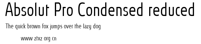 Absolut Pro Condensed reduced.ttf