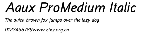 Aaux ProMedium Italic.ttf