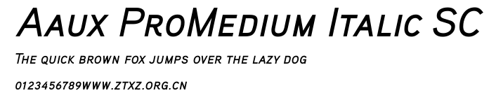 Aaux ProMedium Italic SC.ttf