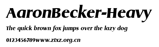 AaronBecker-Heavy.ttf