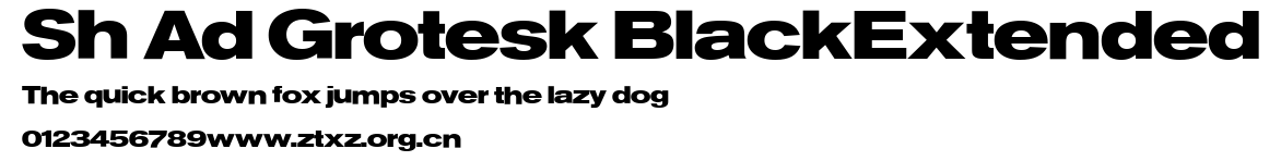 Sh Ad Grotesk BlackExtended.ttf