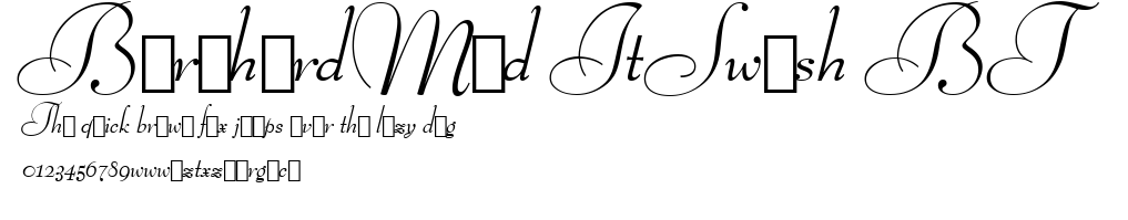 BernhardMod ItSwash BT.ttf