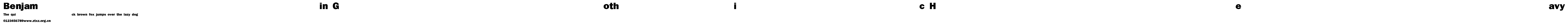 Benjamin Gothic Heavy.ttf