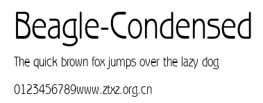 Beagle-Condensed.ttf