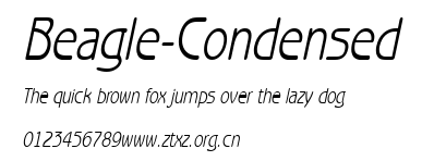 Beagle-Condensed.ttf