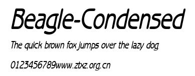 Beagle-Condensed.ttf