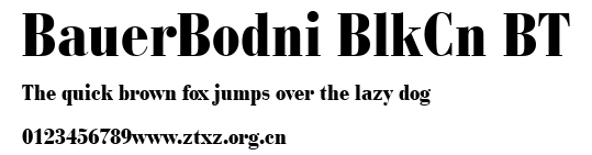 BauerBodni BlkCn BT.ttf