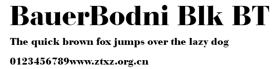 BauerBodni Blk BT.ttf
