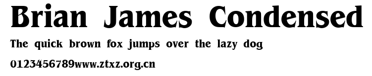 Brian James Condensed.ttf