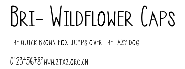 Bri- Wildflower Caps.ttf