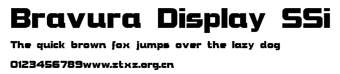 Bravura Display SSi.ttf