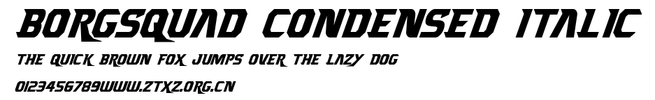 Borgsquad Condensed Italic.ttf