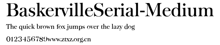 BaskervilleSerial-Medium.ttf