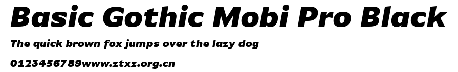 Basic Gothic Mobi Pro Black.ttf