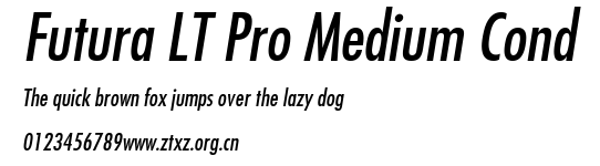 Futura LT Pro Medium Cond.TTF