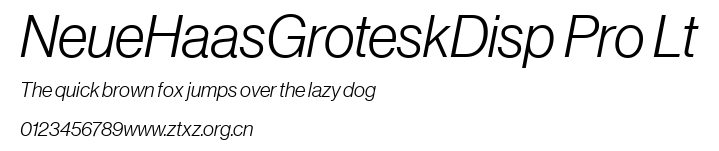 NeueHaasGroteskDisp Pro Lt.TTF