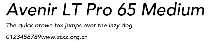 Avenir LT Pro 65 Medium.ttf