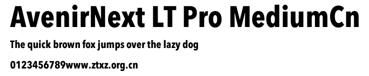 AvenirNext LT Pro MediumCn.ttf