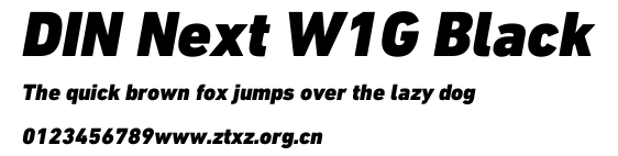 DIN Next W1G Black.ttf