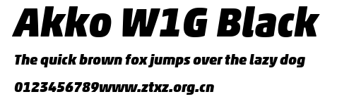 Akko W1G Black.ttf