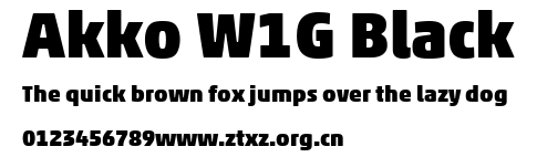 Akko W1G Black.ttf