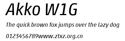 Akko W1G.ttf