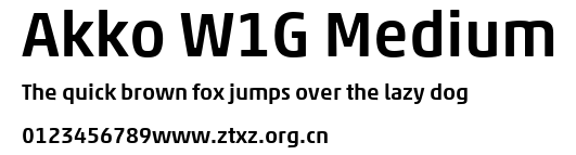 Akko W1G Medium.ttf