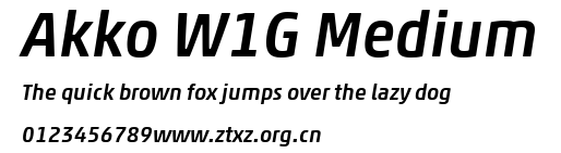 Akko W1G Medium.ttf