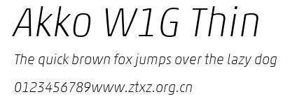 Akko W1G Thin.ttf