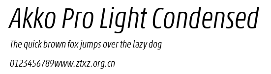 Akko Pro Light Condensed.ttf