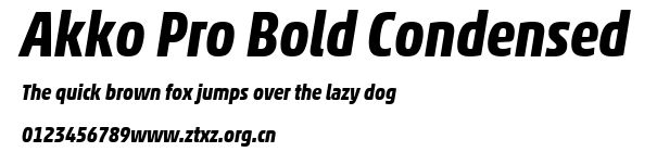 Akko Pro Bold Condensed.ttf